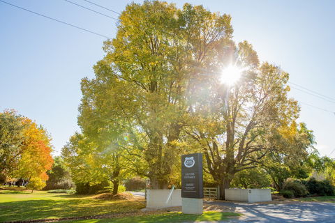 Brown Brothers Milawa Vineyard - Accommodation Redcliffe 0