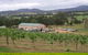 Villa D Esta Vineyard - thumb 0
