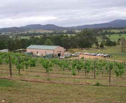 Villa D Esta Vineyard - Accommodation Redcliffe 0