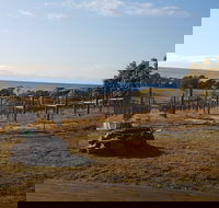 Overtime vineyard - Accommodation Redcliffe