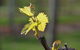 Serengale Vineyard - thumb 0