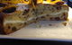 Crave Something Mooreish Cafe - thumb 6