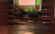 The Wired Owl Coffee Co - thumb 1