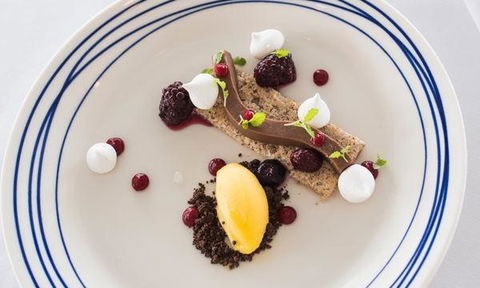 Wild Herring - Accommodation Redcliffe 0