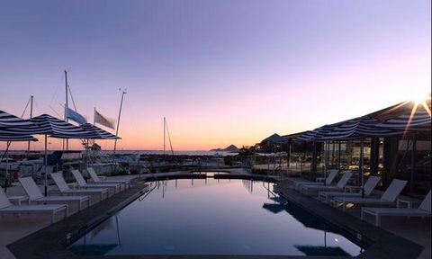 Wild Herring - Accommodation Redcliffe 1