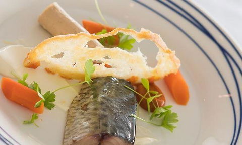 Wild Herring - Accommodation Redcliffe 2