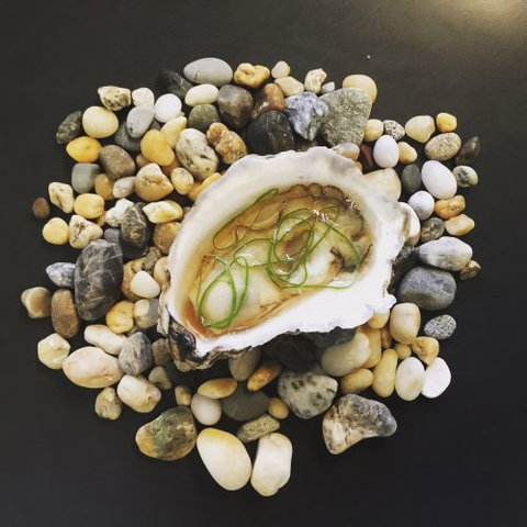 Abicus Restaurant - Accommodation Redcliffe 2