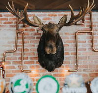 The Loose Moose Tap  Grill - Accommodation Redcliffe