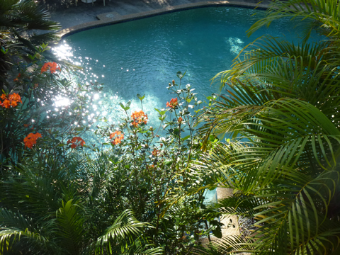 Avoca Beach Hotel - Accommodation Redcliffe 0