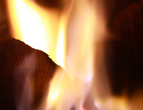 BD’s Woodfired Pizza & Pasta - Accommodation Redcliffe 1