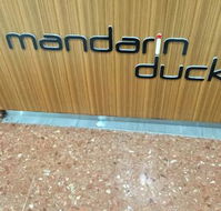 Mandarin Duck - Accommodation Redcliffe