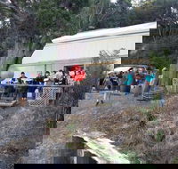 The Bay Fish - Accommodation Redcliffe