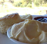 Tanglefoot Winery Cafe - Accommodation Redcliffe