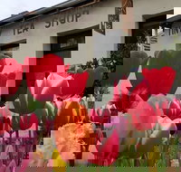 Tiny Tea Shop - Accommodation Redcliffe