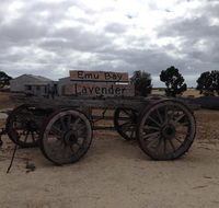 Emu Bay Lavender - Accommodation Redcliffe