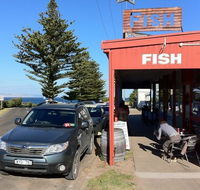 Fish - Accommodation Redcliffe