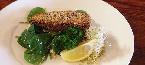 Bonappetite Cafe - Accommodation Redcliffe 2