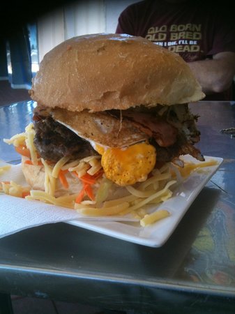 Porcupine QLD Accommodation Redcliffe