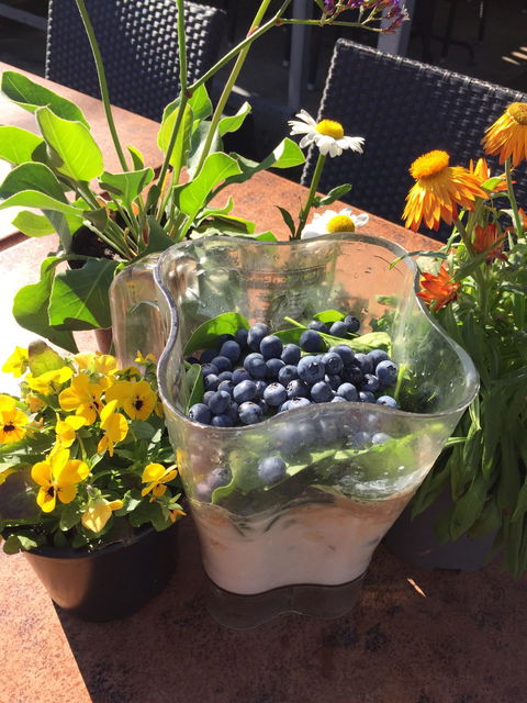 Island Fruit Barn - Accommodation Redcliffe 5