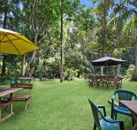 Rainforest - Accommodation Redcliffe