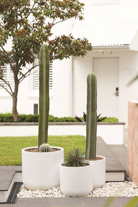 Adina Apartment Hotel Chippendale - Accommodation Redcliffe 0