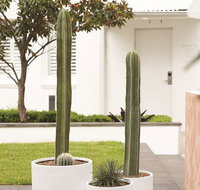 Adina Apartment Hotel Chippendale - Accommodation Redcliffe