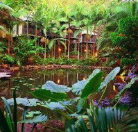 Daintree Eco Lodge  Spa - Accommodation Redcliffe