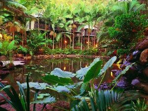 Daintree Eco Lodge & Spa - Accommodation Redcliffe 0