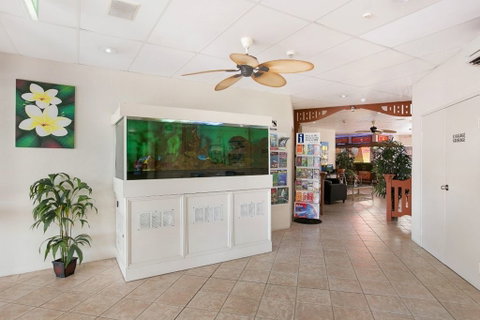Cairns City Sheridan - Accommodation Redcliffe 1