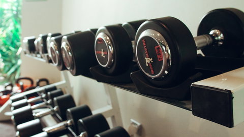 Holiday Inn Warwick Farm - Accommodation Redcliffe 13