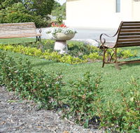 SureStay by BW The Clarence on Melville - Accommodation Redcliffe