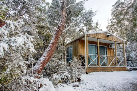 Discovery Parks Cradle Mountain - Accommodation Redcliffe 2