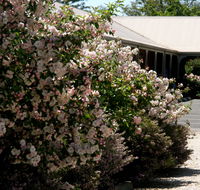 Wine Village Motor Inn - Accommodation Redcliffe