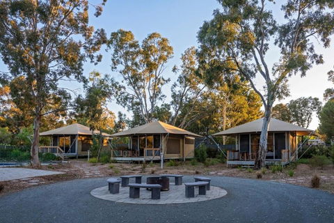 Discovery Parks Barossa Valley - Accommodation Redcliffe 0
