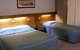 Great Eastern Motor Inn - thumb 1