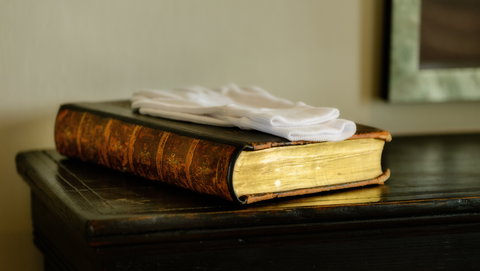 Woodbridge on the Derwent - Accommodation Redcliffe 4