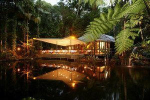 Daintree Eco Lodge & Spa - Accommodation Redcliffe 2
