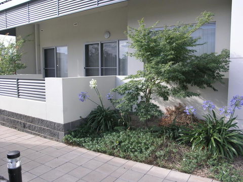 Kesh At Aamira - Accommodation Redcliffe 16