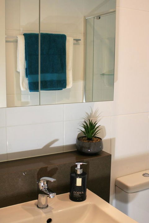 Modern Executive Apt@Barton*1BR*WiFi*Gym*Secure Parking*Canberra - Accommodation Redcliffe 13