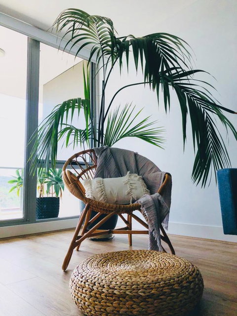 Staying Places - The Avenue - Accommodation Redcliffe 14