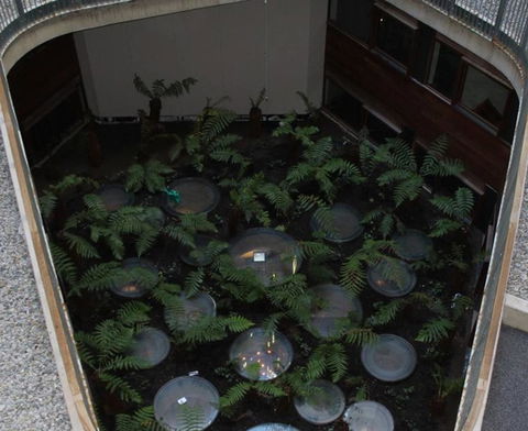 Canberra Luxury Apartment 3 - Accommodation Redcliffe 32