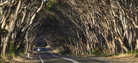 Mercure Kangaroo Island Lodge - Accommodation Redcliffe 40