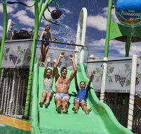 Discovery Parks  Barossa Valley - Accommodation Redcliffe
