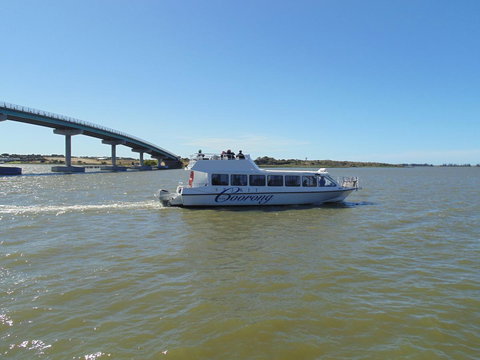 Baronet B & B - Accommodation Redcliffe 28