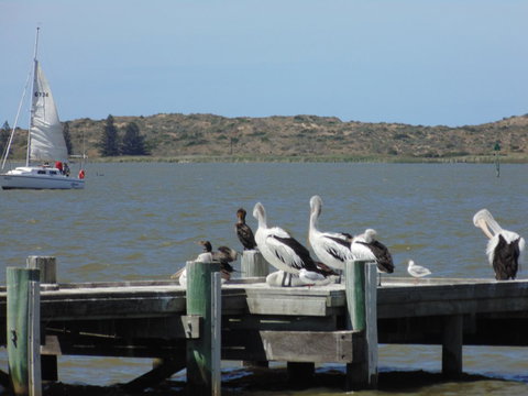 Baronet B & B - Accommodation Redcliffe 20