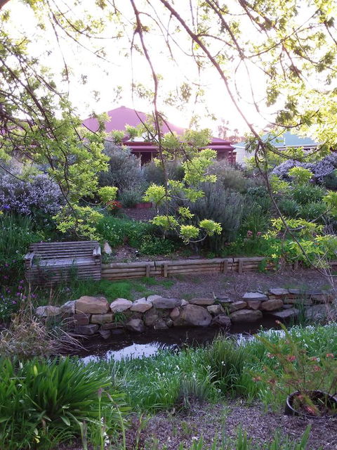 Frog Song At Willunga - Accommodation Redcliffe 0