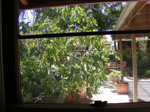 Trevalia Accommodation - Accommodation Redcliffe 4