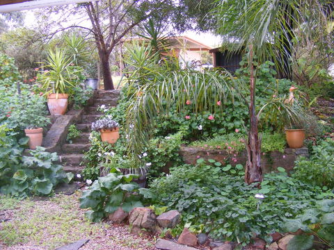 Trevalia Accommodation - Accommodation Redcliffe 12