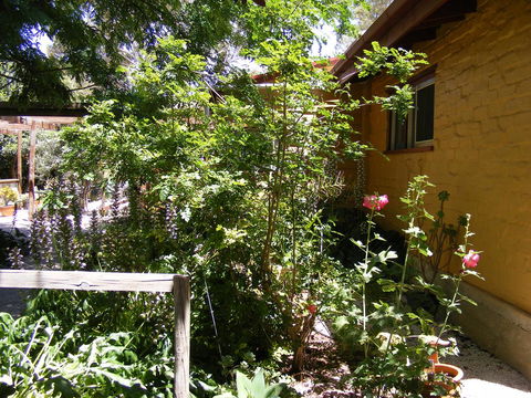 Trevalia Accommodation - Accommodation Redcliffe 7
