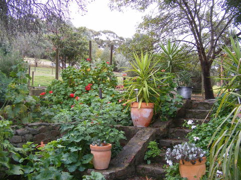 Trevalia Accommodation - Accommodation Redcliffe 13